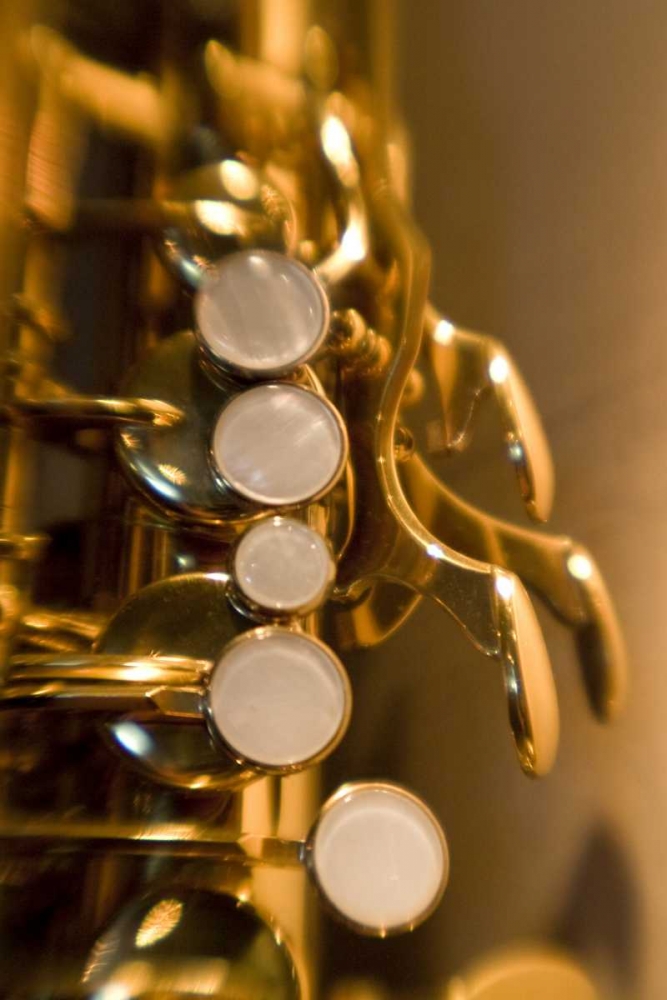 French Polynesia Saxophone used in band